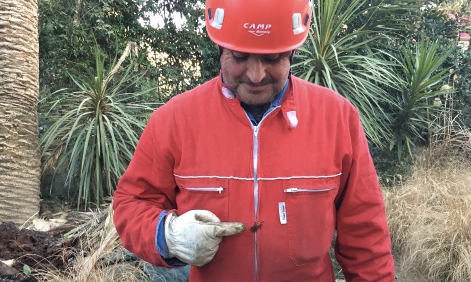 6fe52c23-6256-4e17-9cc7-5ea87b658d98